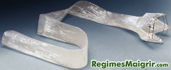 La gaine plastique EndoBarrier créée par la société GI Dynamics