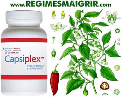 Capsilex