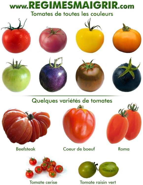 Quelques couleurs et variétés différentes des tomates