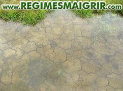 Un sol asséché depuis longtemps ne peut absorber l'eau assez vite s'il est inondé