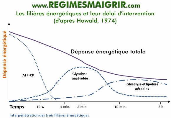 Courbe d'Howald qui montre l'interpénétration des trois filières énergétiques