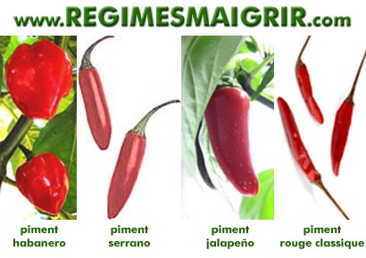 Manger les aliments piments peut assister la perte de poids