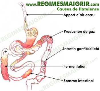 Schma qui rsume les principales causes possibles de production de flatulences