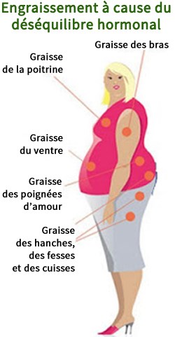 Le dsquilibre hormonal peut provoquer diverses accumulations graisseuses dans plusieurs endroits du corps