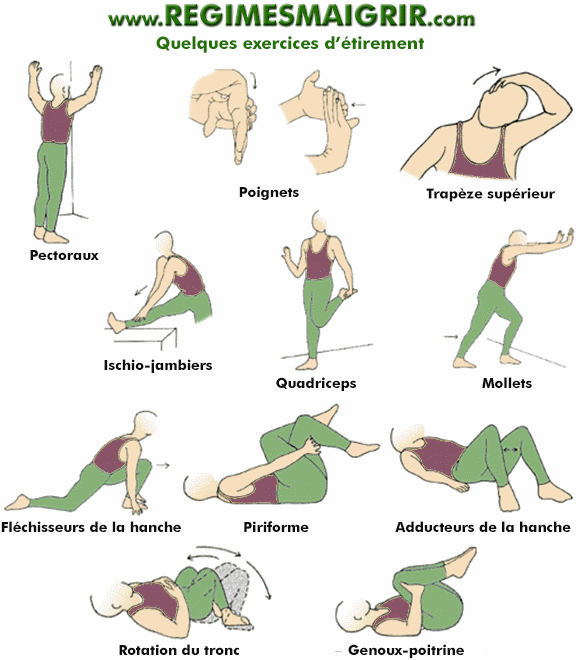  tirement Exercices Pdf PROGRAMME D EXERCICES PREVENTIFS CONTRE LE IMUW
