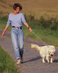 Promener le chien fait partie des astuces pour faire plus de pas quotidiennement