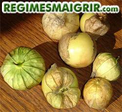 Le tomatillo pousse dans les pays tropicaux