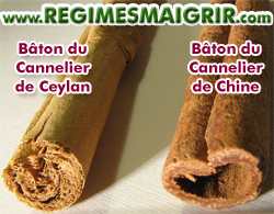 Btons du cannelier de Ceylan et du cannelier de Chine cte  cte