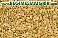 Des grains de riz brun poss les uns  ct des autres