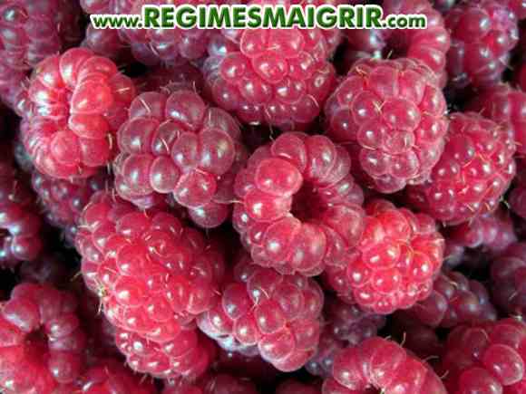 Des dizaines de framboises frachement cueillies et laves