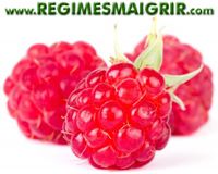 Zoom sur 3 framboises bien roses