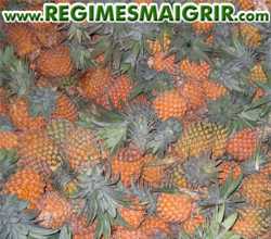 Des ananas bien mrs entasss les uns sur les autres