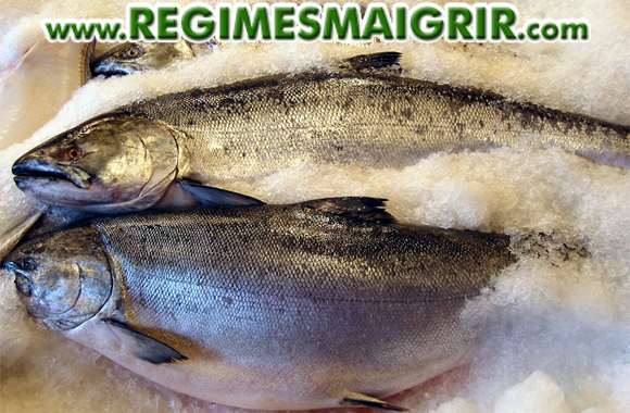 Le saumon fait partie des aliments thermogniques