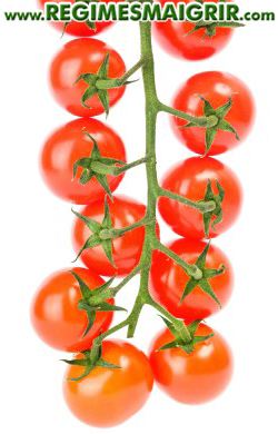 Une grappe de tomates encore attachées à la vigne de leur plante