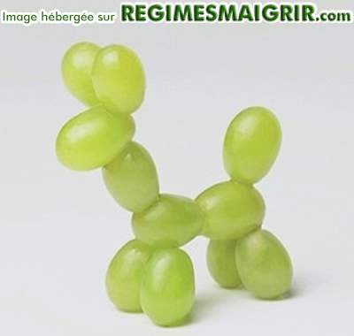 Chien en ballons de baudruche qui sont en fait des raisins verts