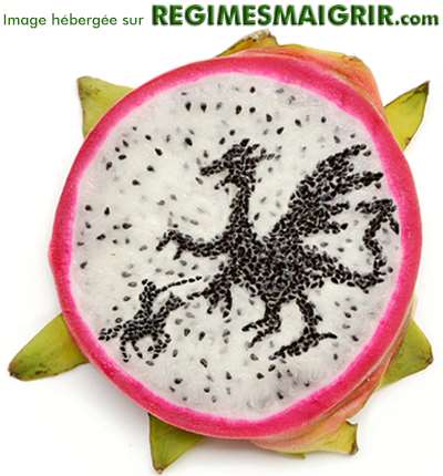 Dragon noir volant dans un pitaya