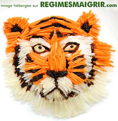 Visage de tigre marin