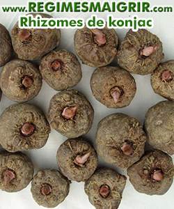 Rhizomes de la plante konjac