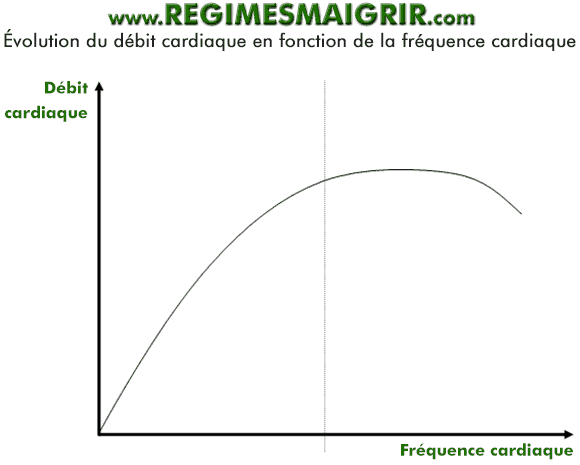 Schma de l'volution du dbit du cur en fonction de sa frquence de battement