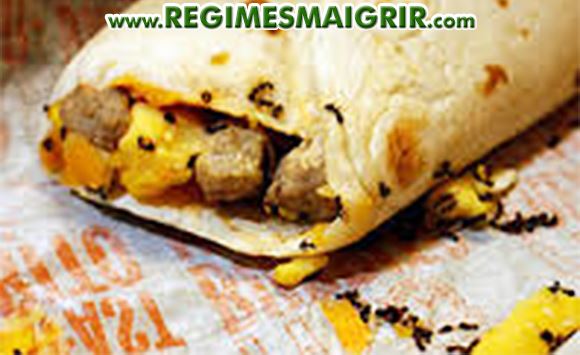 Environ 50 fourmis ont t retrouves inanimes dans un burrito achet chez McDo