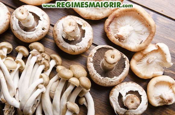 Champignons