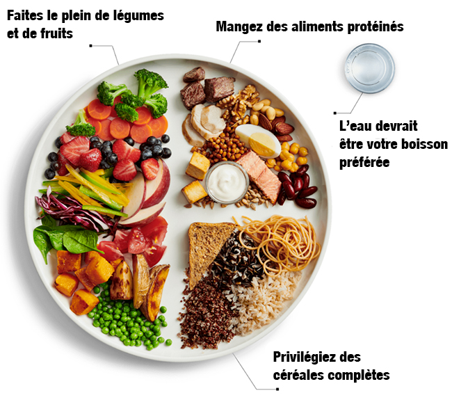 Une assiette avec des portions quilibres d'aliments sains