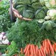 Les légumes verts favorisent la perte graisseuse
