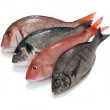 Les poissons sont une trs bon aliment  consommer pendant les mois hivernaux