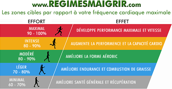 Les diffrentes zones cardiaques cibles et les effets suites aux efforts dploys