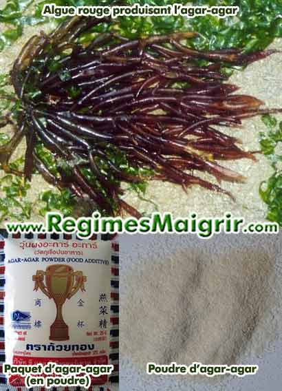 Photo de l'algue rouge agar-agar ainsi que d'un paquet de poudre d'agar