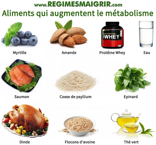 Liste des aliments qui augmentent le mtabolisme efficacement