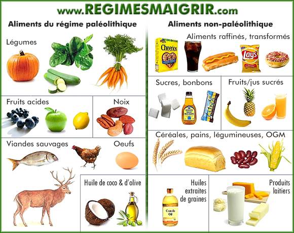 Rsum des aliments palolithiques ou non-palo