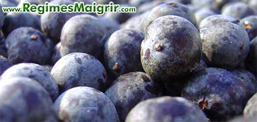 L'acai berry est une baie trs riche en nutriments